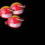 4AD9DBE7-122D-417A-8B16-4A5572C1AFAA